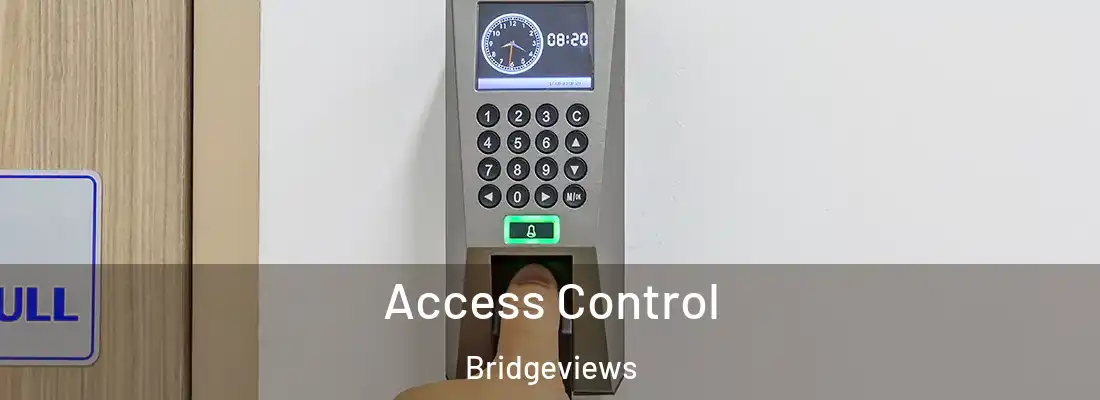  Access Control Bridgeviews