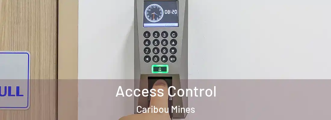  Access Control Caribou Mines