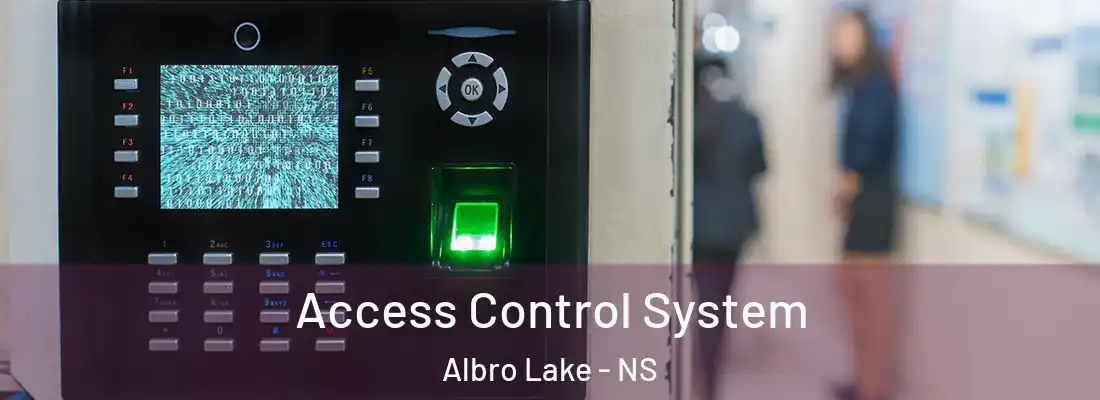 Access Control System Albro Lake - NS