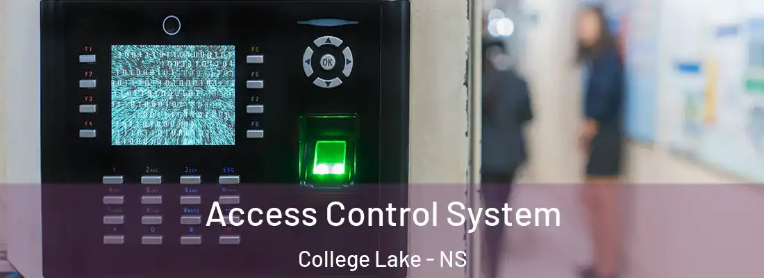 Access Control System College Lake - NS