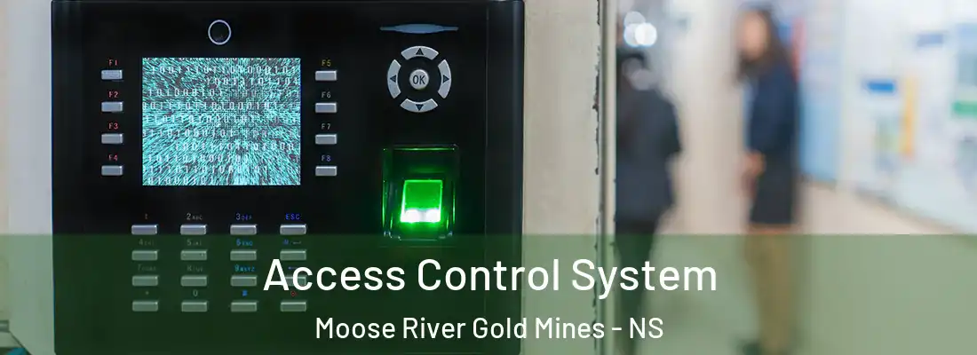 Access Control System Moose River Gold Mines - NS