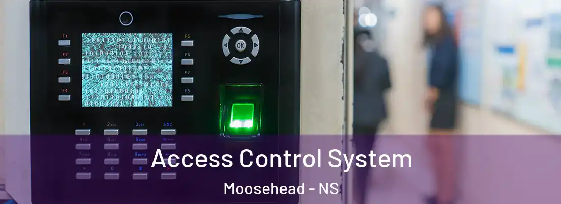 Access Control System Moosehead - NS