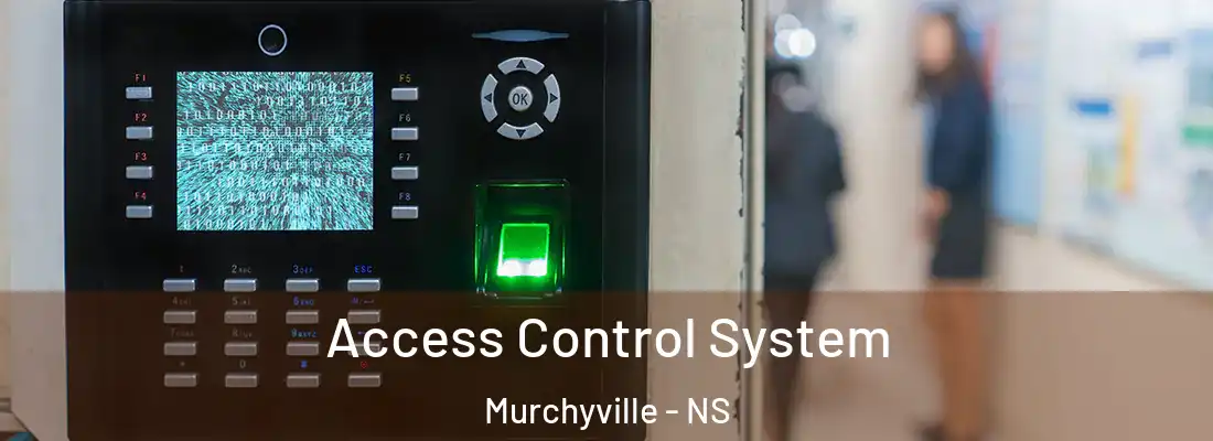 Access Control System Murchyville - NS