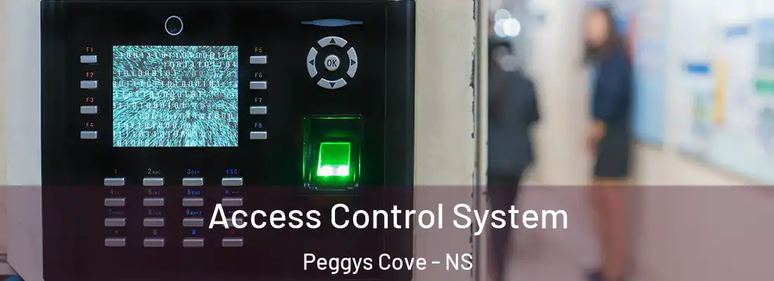 Access Control System Peggys Cove - NS