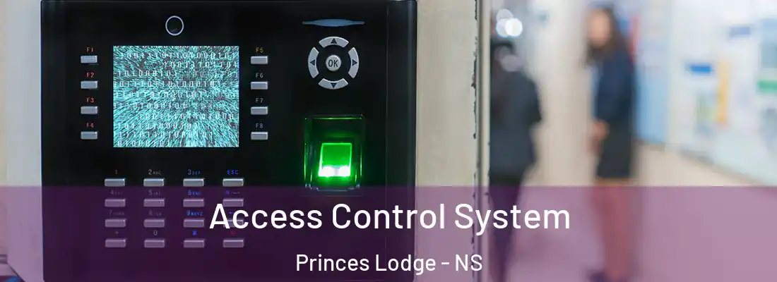 Access Control System Princes Lodge - NS