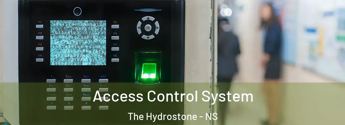 Access Control System The Hydrostone - NS