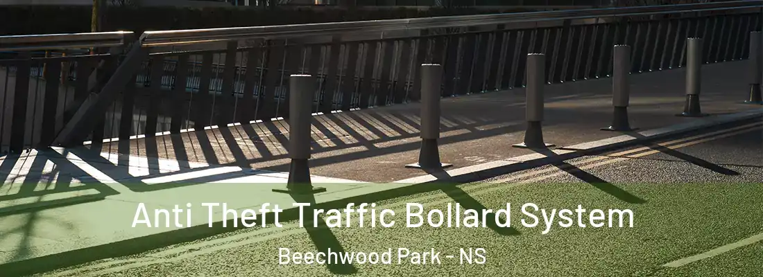  Anti Theft Traffic Bollard System Beechwood Park - NS