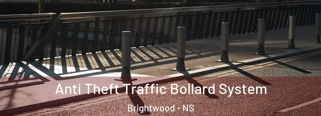 Anti Theft Traffic Bollard System Brightwood - NS