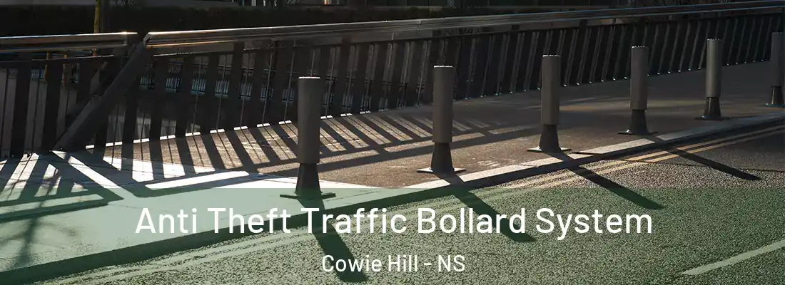 Anti Theft Traffic Bollard System Cowie Hill - NS