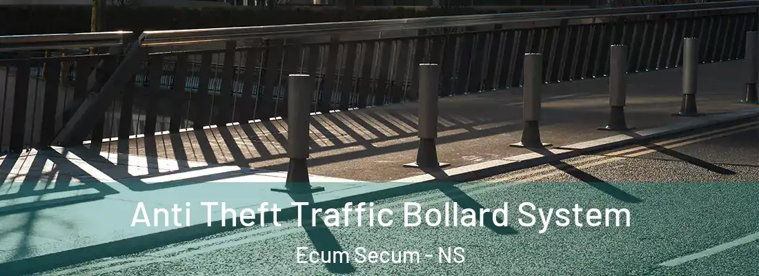 Anti Theft Traffic Bollard System Ecum Secum - NS