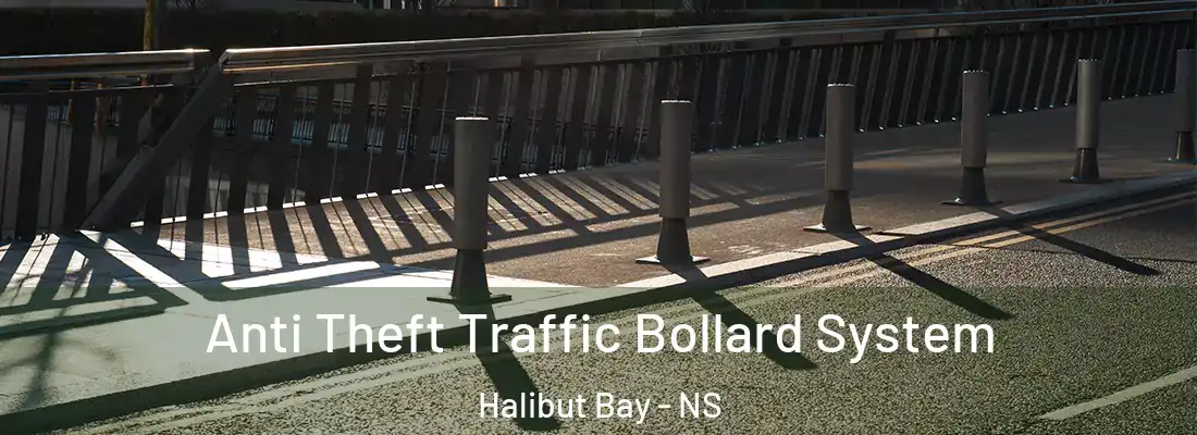 Anti Theft Traffic Bollard System Halibut Bay - NS