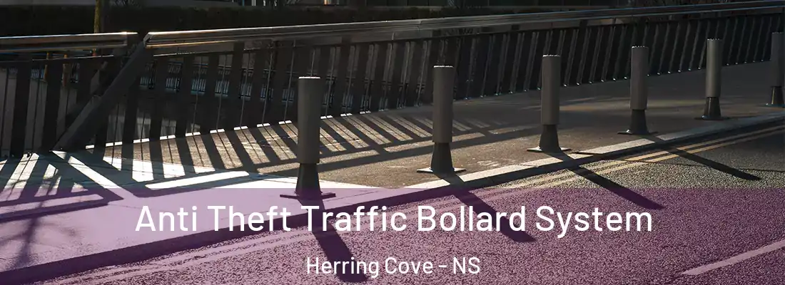  Anti Theft Traffic Bollard System Herring Cove - NS