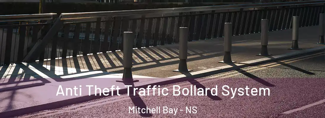Anti Theft Traffic Bollard System Mitchell Bay - NS