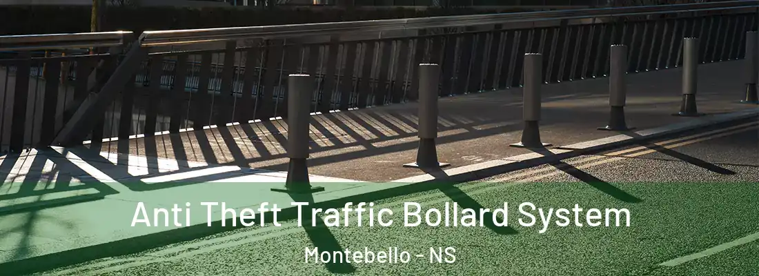  Anti Theft Traffic Bollard System Montebello - NS