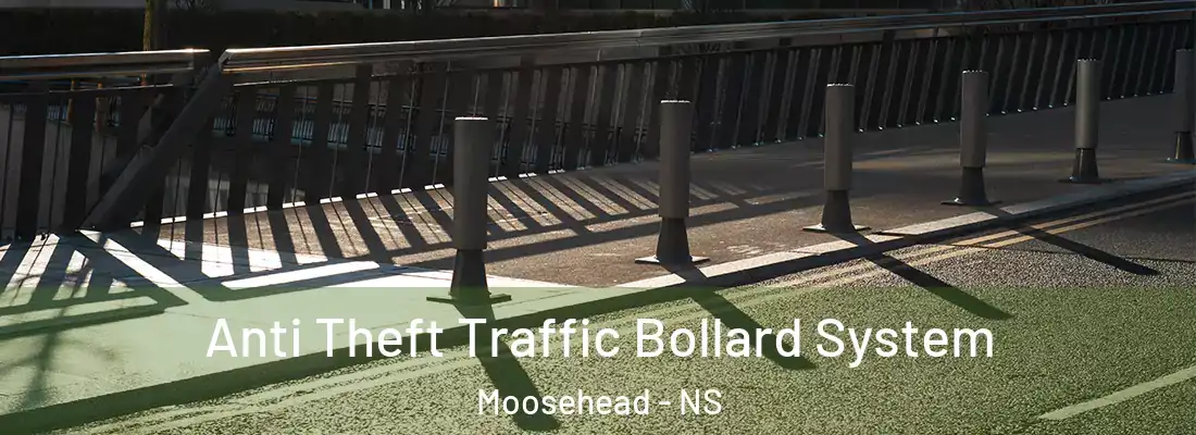  Anti Theft Traffic Bollard System Moosehead - NS