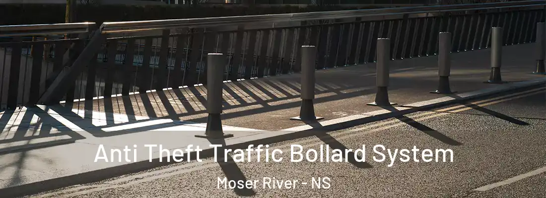 Anti Theft Traffic Bollard System Moser River - NS