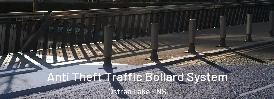Anti Theft Traffic Bollard System Ostrea Lake - NS
