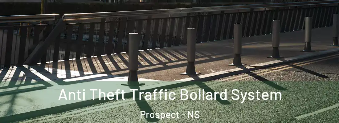  Anti Theft Traffic Bollard System Prospect - NS