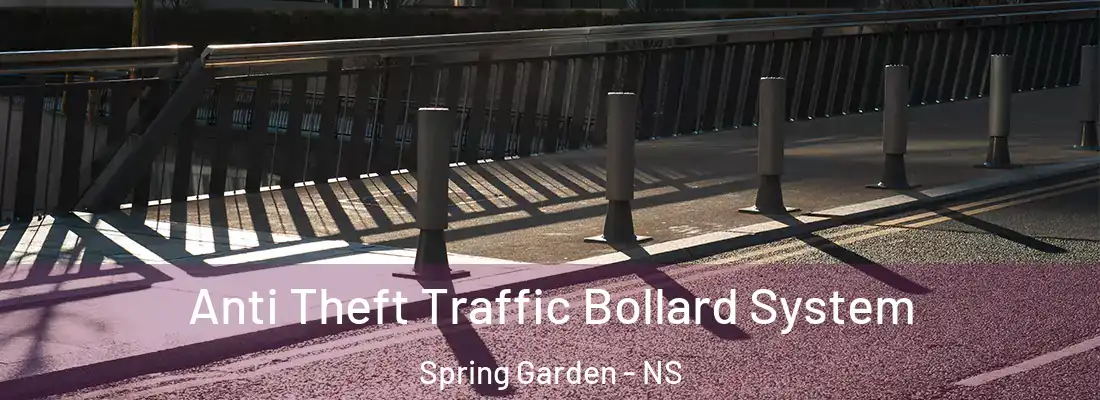 Anti Theft Traffic Bollard System Spring Garden - NS