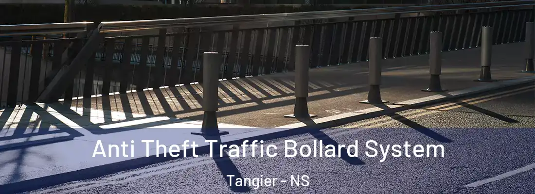 Anti Theft Traffic Bollard System Tangier - NS