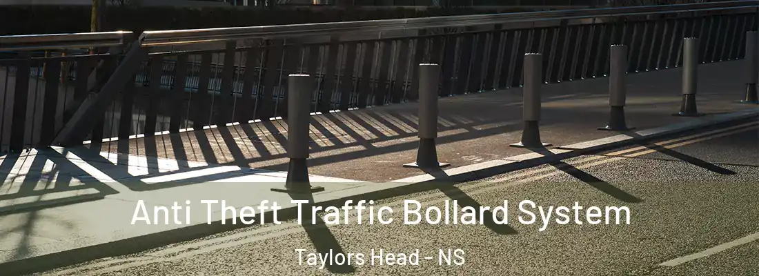 Anti Theft Traffic Bollard System Taylors Head - NS