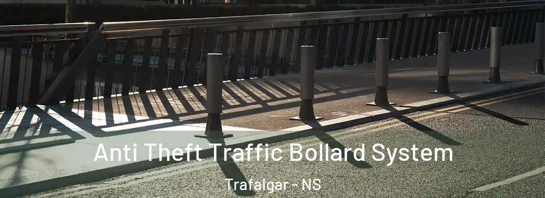 Anti Theft Traffic Bollard System Trafalgar - NS