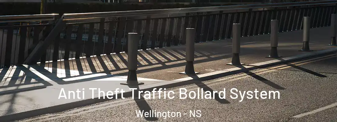  Anti Theft Traffic Bollard System Wellington - NS