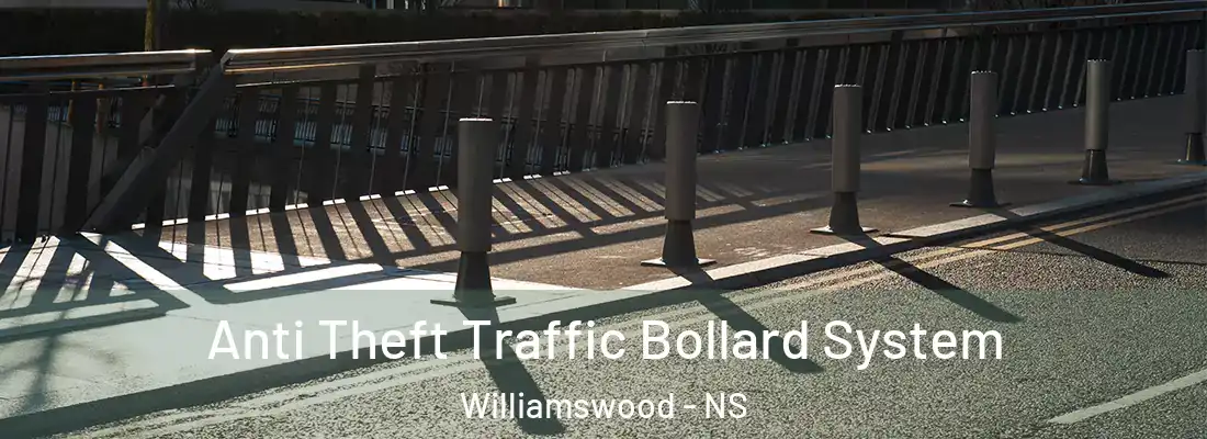  Anti Theft Traffic Bollard System Williamswood - NS