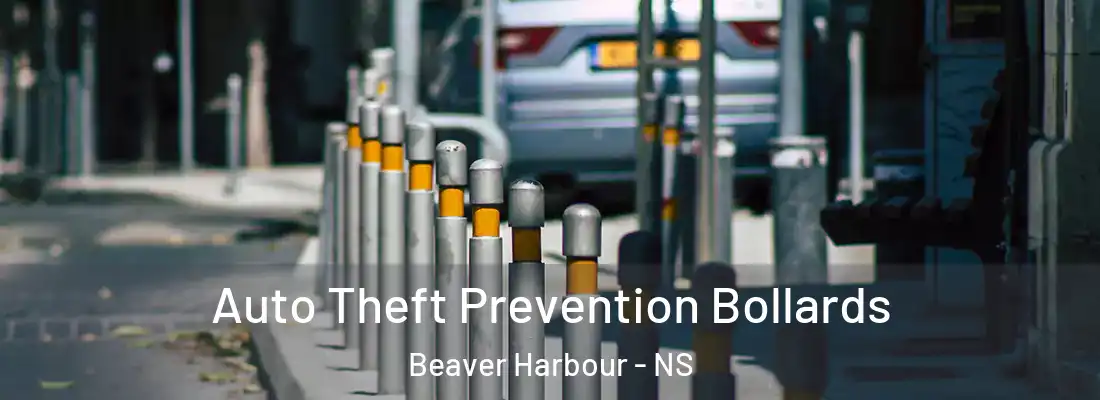 Auto Theft Prevention Bollards Beaver Harbour - NS