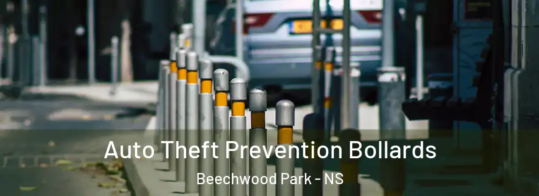  Auto Theft Prevention Bollards Beechwood Park - NS