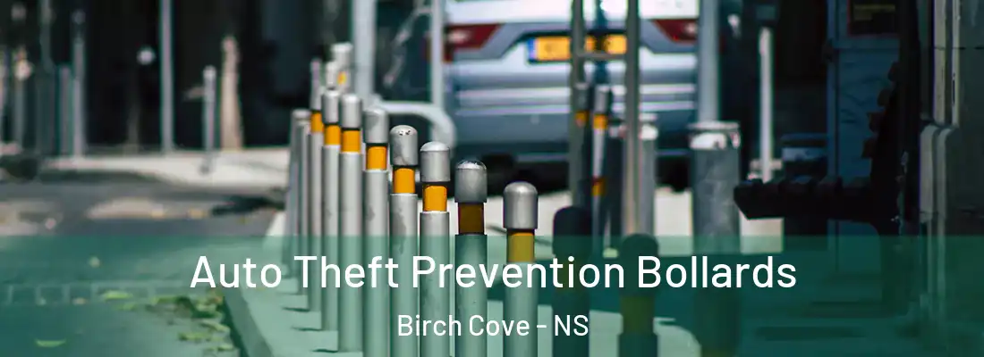  Auto Theft Prevention Bollards Birch Cove - NS