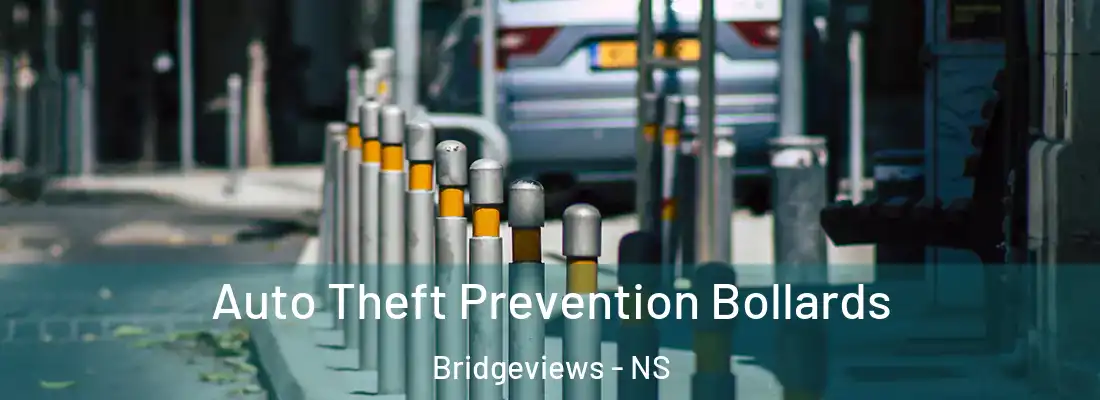 Auto Theft Prevention Bollards Bridgeviews - NS
