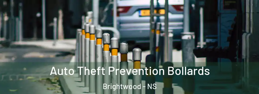 Auto Theft Prevention Bollards Brightwood - NS