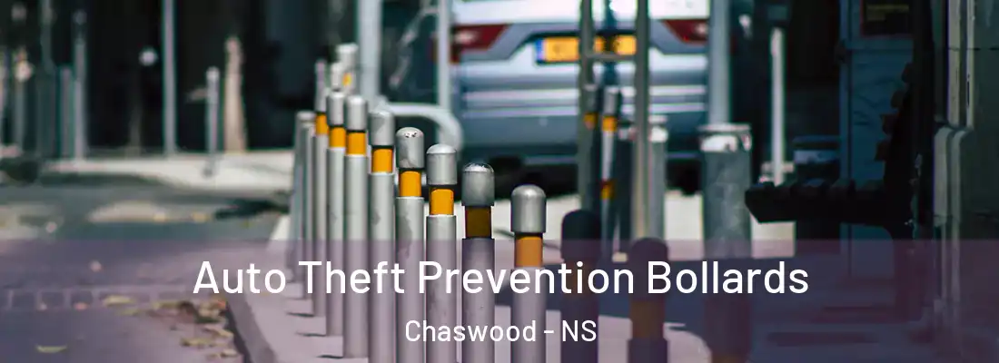  Auto Theft Prevention Bollards Chaswood - NS