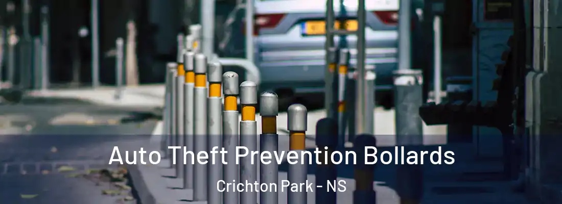  Auto Theft Prevention Bollards Crichton Park - NS