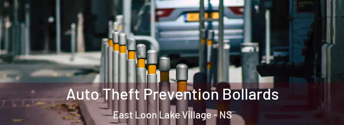  Auto Theft Prevention Bollards East Loon Lake Village - NS
