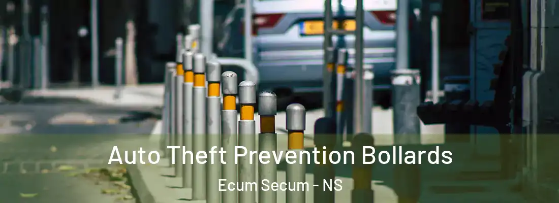 Auto Theft Prevention Bollards Ecum Secum - NS