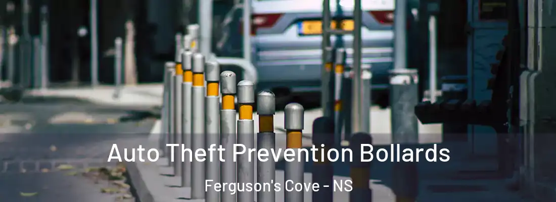  Auto Theft Prevention Bollards Ferguson's Cove - NS