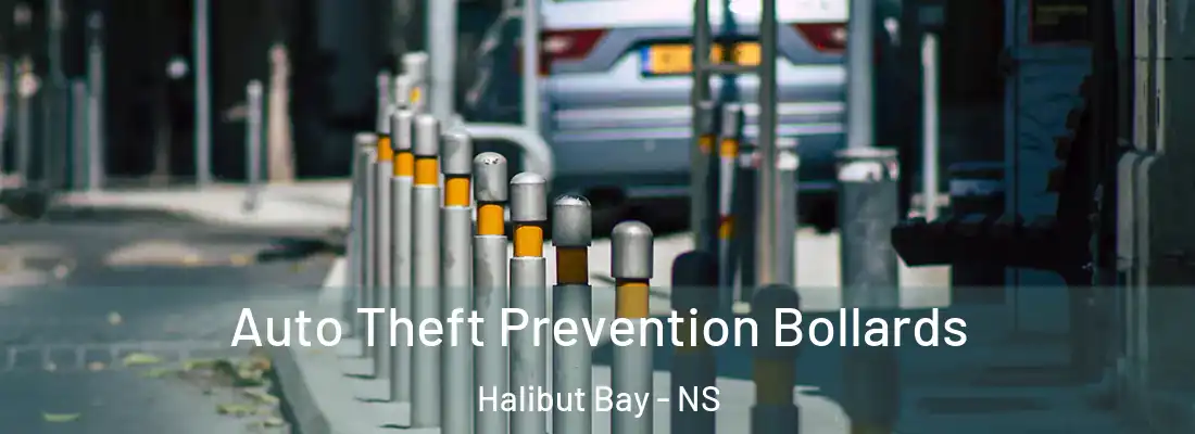 Auto Theft Prevention Bollards Halibut Bay - NS