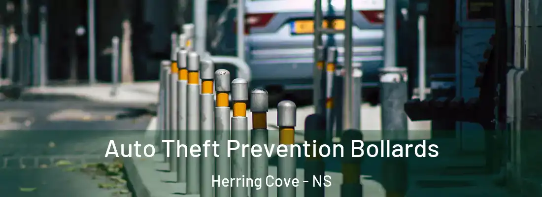 Auto Theft Prevention Bollards Herring Cove - NS