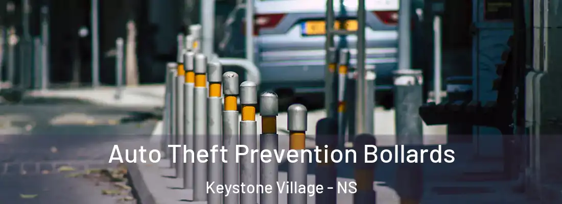 Auto Theft Prevention Bollards Keystone Village - NS