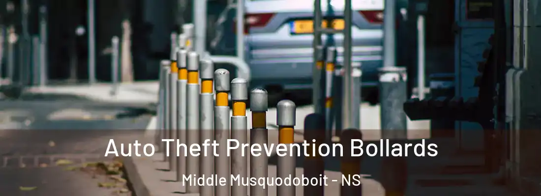 Auto Theft Prevention Bollards Middle Musquodoboit - NS