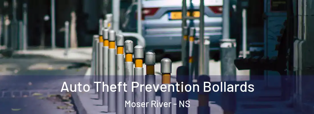 Auto Theft Prevention Bollards Moser River - NS