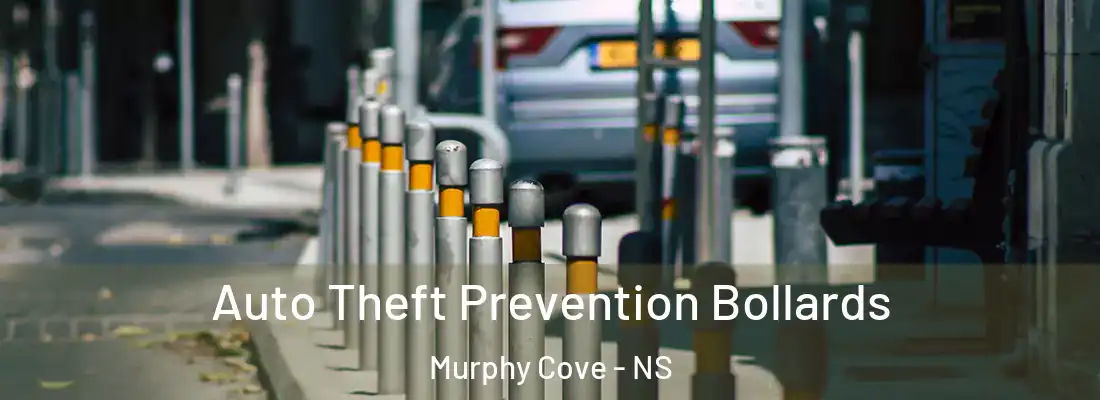  Auto Theft Prevention Bollards Murphy Cove - NS