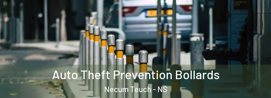 Auto Theft Prevention Bollards Necum Teuch - NS