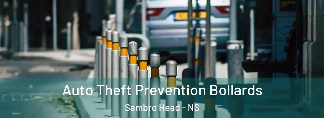 Auto Theft Prevention Bollards Sambro Head - NS