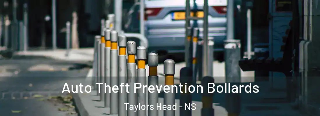  Auto Theft Prevention Bollards Taylors Head - NS