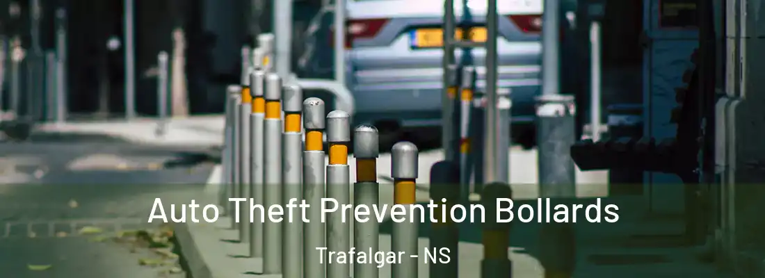 Auto Theft Prevention Bollards Trafalgar - NS