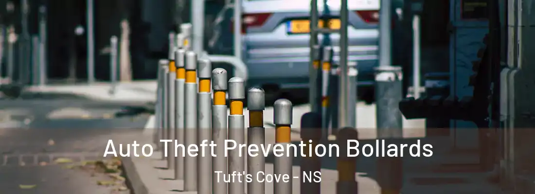 Auto Theft Prevention Bollards Tuft's Cove - NS