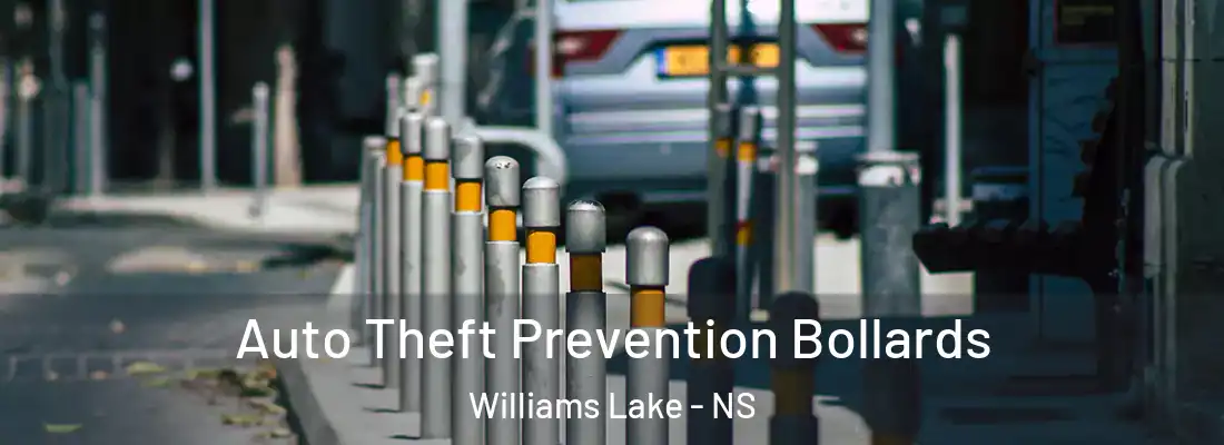  Auto Theft Prevention Bollards Williams Lake - NS